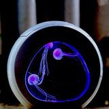 Aquarium,Glowing,Jellyfish,Color,Light,Desktop,Decor