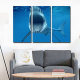 Miico,Painted,Three,Combination,Decorative,Paintings,White,Shark,Decoration