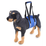 Waist,Harness,Harness,Protection,Nylon,Clasp,Protecting,Waist,Sport,Running,Leash,Product