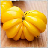 Egrow,Giant,Tomato,Seeds,Plants,Organic,Heirloom,Plants,Vegetables,Perennial,Plant,Garden,Planting