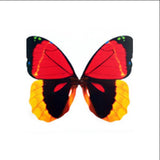 10Pcs,Double,Pieces,Colorful,Butterfly,Sticker,Fridge,Magnet,Decor,Applique