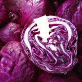 Egrow,Purple,Cabbage,Seeds,Organic,Seasons,Healthy,Vegetable,Plants