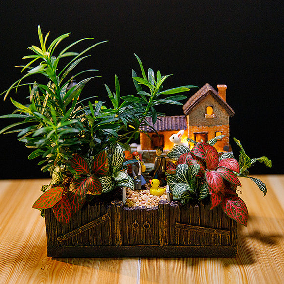 Lighting,Tuscany's,Cabin,Flower,Craft,Ornaments,Magic,Lantern,House,Planter,Bonsai