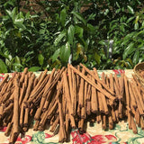 Egrow,Cinnamon,Seeds,Mixed,Bonsai,Evergreen,Garden,Plant