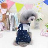 Spring,Summer,Suits,Clothes,Cotton,Material,Puppy,Couples,Pants,Teddy,Dress