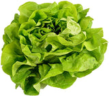 Cream,Lettuce,Seeds,Vegetable,Seeds,Salad,Rapeseed,Lettuce,Flower,Plant,Garden