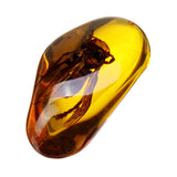 Beautiful,Amber,Hornet,Petrifaction,Insects,Manual,Polishing,Insect,Specimens,Decorations