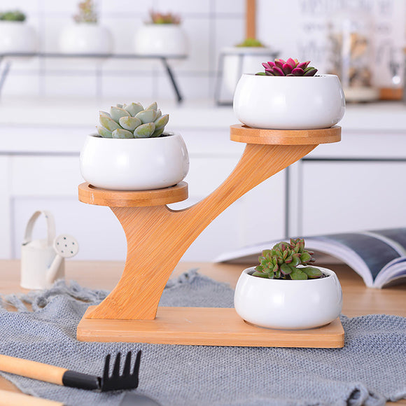 Cactus,Succulent,Bamboo,Saucers,Stand,Decorative,Ceramic,Flower