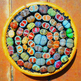 Egrow,100pcs,Graine,Lithops,Pseudotruncatella,Plant,Potted,Stone,Succulentes,Mixture