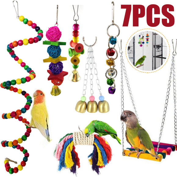 Combination,Parrot,Articles,Parrot,Parrot,Funny,Swing,Standing,Training