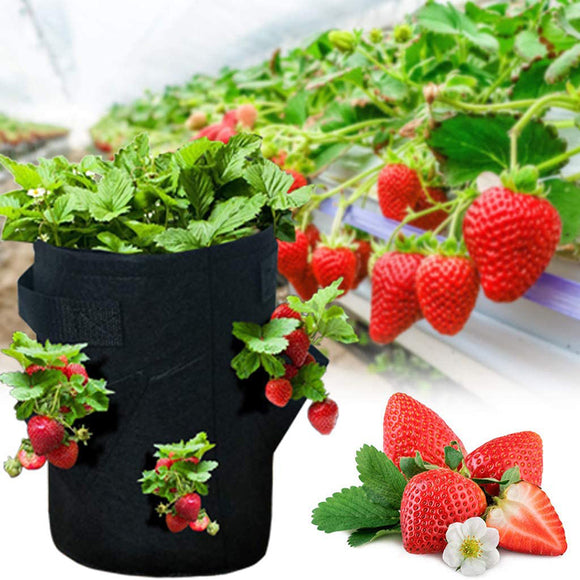 Gallons,Strawberry,Planting,Pockets,Planting,Pouch,Fabric,Strawberry,Tomato,Carrot,Vegetables,Container,Handles