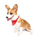Imperial,Crown,Adjustable,Collars,Decoratoive,Towel,Drcoration