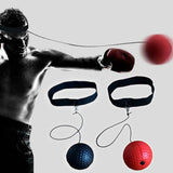 Boxing,Punching,Training,Speed,Reaction,Agility,Fight,Skill,Coordination,Exercise,Tools