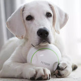 Petgeek,Automatic,Rolling,Interactive,Exercise,Feeding,Xiaomi,Youpin