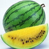 20Pcs,Watermelon,Flesh,Magic,Garden,Seeds,Summer,Fruit,Garden,Landscape