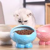 Feeding,Ceramic,Puppy,Snack,Water,Feeder