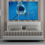 Miico,Painted,Three,Combination,Decorative,Paintings,White,Shark,Decoration