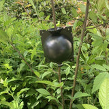Plant,Propagation,Grafting,Garden,Altitude,Pressure,Propagation,Rooting,Propagator,Cutting,Grafting,Rooting