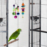 Combination,Parrot,Articles,Parrot,Parrot,Funny,Swing,Standing,Training