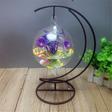 Hanging,Clear,Glass,Aquarium,Desktop,Decor,Stand