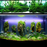 Transparent,Landscaping,Instant,Strong,Aquatic,Plants,Block,Stone,Coral,Adhesive,Aquarium,Water,Plant
