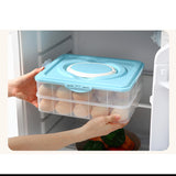 Layer,Portable,Storage,Plastic,Organizer,Refrigerator,Container,Holder