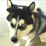 Summer,Print,Baseball,Small,Outdoor,Baseball,Grooming,Accessories