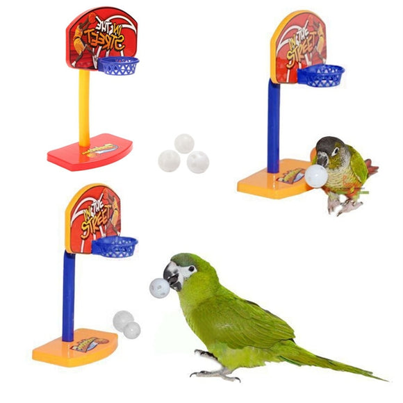 Birds,Parakeet,Balls,Parrot,Birdie,Basketball