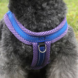 Breathable,Comfortable,Strap,Traction,Adjustable,Buckle,Chain