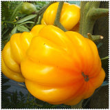 Egrow,Giant,Tomato,Seeds,Plants,Organic,Heirloom,Plants,Vegetables,Perennial,Plant,Garden,Planting
