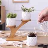 Succulent,Ceramic,Garden,Flower,Planter,Holder,Bamboo,Stand