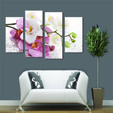 Miico,Painted,Combination,Decorative,Paintings,Botanic,Phalaenopsis,Decoration