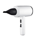 2000W,Dryer,Moisture,Anions,Speeds,Settings,Overheat,Protection,Quick,Drying