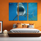 Miico,Painted,Three,Combination,Decorative,Paintings,White,Shark,Decoration