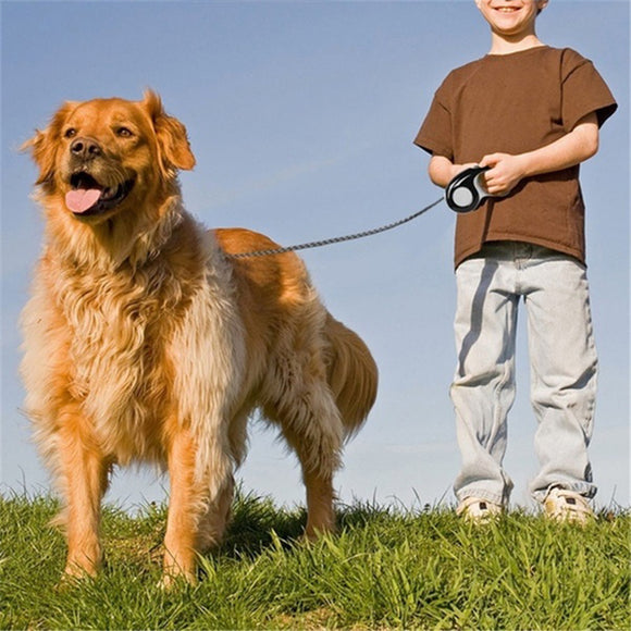 Leash,Automatic,Retractable,Extending,Leashes,Collar,Walking