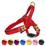 Harness,Traffic,Control,Handle,Belly,Protector,Reflective,Padded,Nylon,Collar