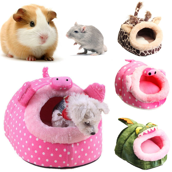 Small,Animal,House,Hamster,Guinea,Squirrel