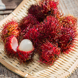 Egrow,Rambutan,Seeds,Fruits,Bonsai,Plants,Garden,Ornamental,Trees