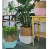 Basket,Storage,Plant,Foldable,Laundry,Portable,Shopping