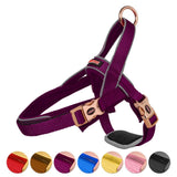 Harness,Traffic,Control,Handle,Belly,Protector,Reflective,Padded,Nylon,Collar