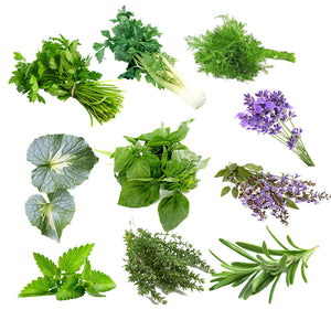 Egrow,Varieties,Mixed,Spice,Vegetable,Seeds,Spice,Combo,Flower,Seeds,Plants,Seeds