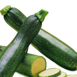 Egrow,Zucchini,Squash,Vegetable,Fruits,Seasons,Melon,Seeds,Garden,Planting