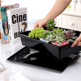 Plants,Nursery,Rectangular,Plastic,Flower,Seedling,Ceramic