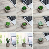 10Pcs,Artificial,Succulent,Flocking,Plants,Foliage,Landscape,Garden,Decorations