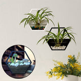 Handmade,Acrylic,Chlorophytum,Flower,Scindapsus,Hexagon,Hanging,Decoration