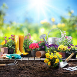 1500Pcs,Egrow,Varieties,Mixed,Fruit,Seeds,Organic,Fruit,Seeds,Sweet,Candied,Fruit,Indoor,Greenhouse,Planting