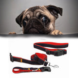 Hands,Leash,Waist,Pouch,Retractable,Walking,Running,Leash,Traction