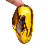 Beautiful,Amber,Hornet,Petrifaction,Insects,Manual,Polishing,Insect,Specimens,Decorations