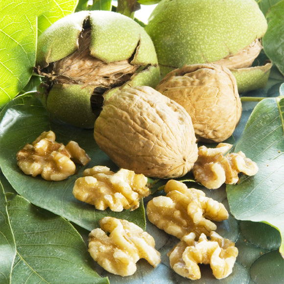 Egrow,Green,Walnut,Seeds,Chinese,Specialty,Green,Walnut,Seeds,Walnut,Seeds