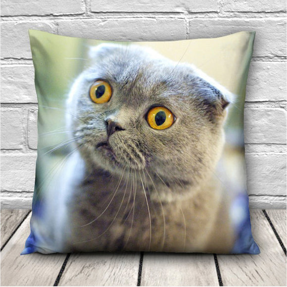 Expressions,Throw,Pillow,Cases,Office,Cushion,Cover